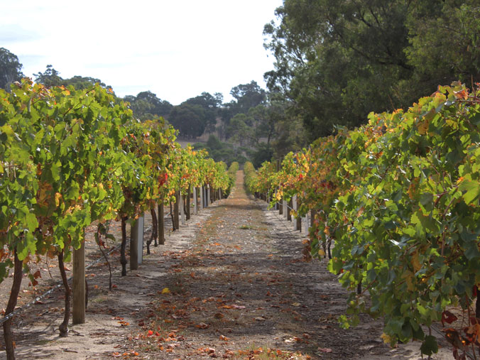 winery