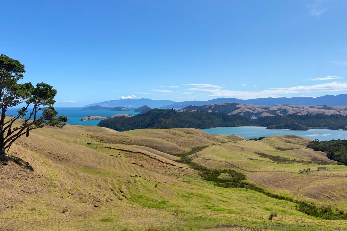 the view of the coromandel peninsula