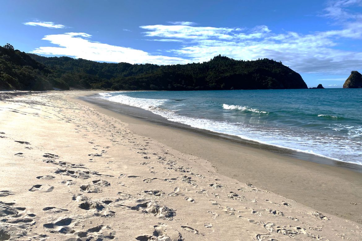 new-chums-beach1