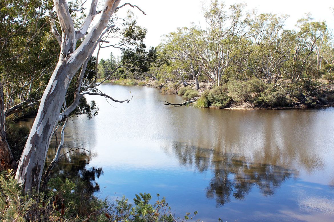 Wimmera River