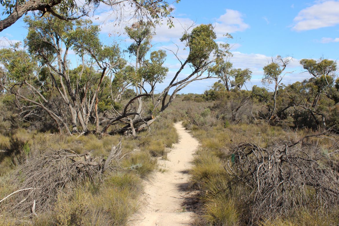 Pomponderoo Hill Walk