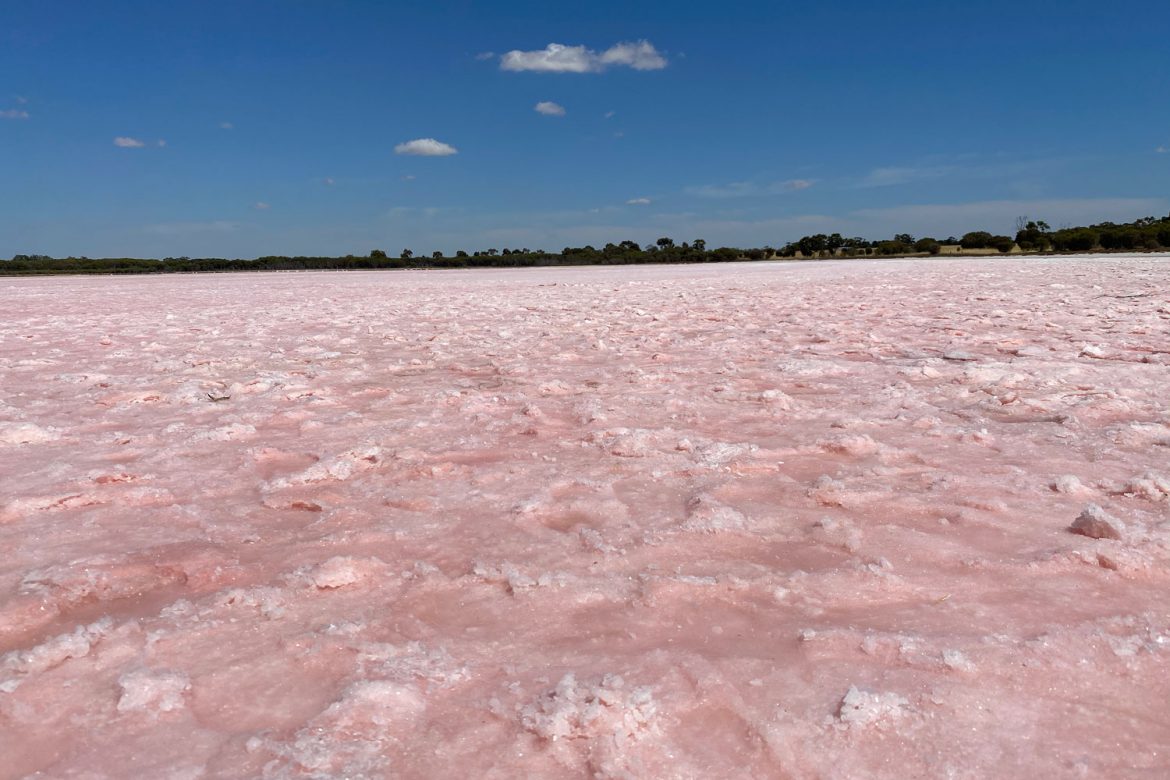 Pink Lake