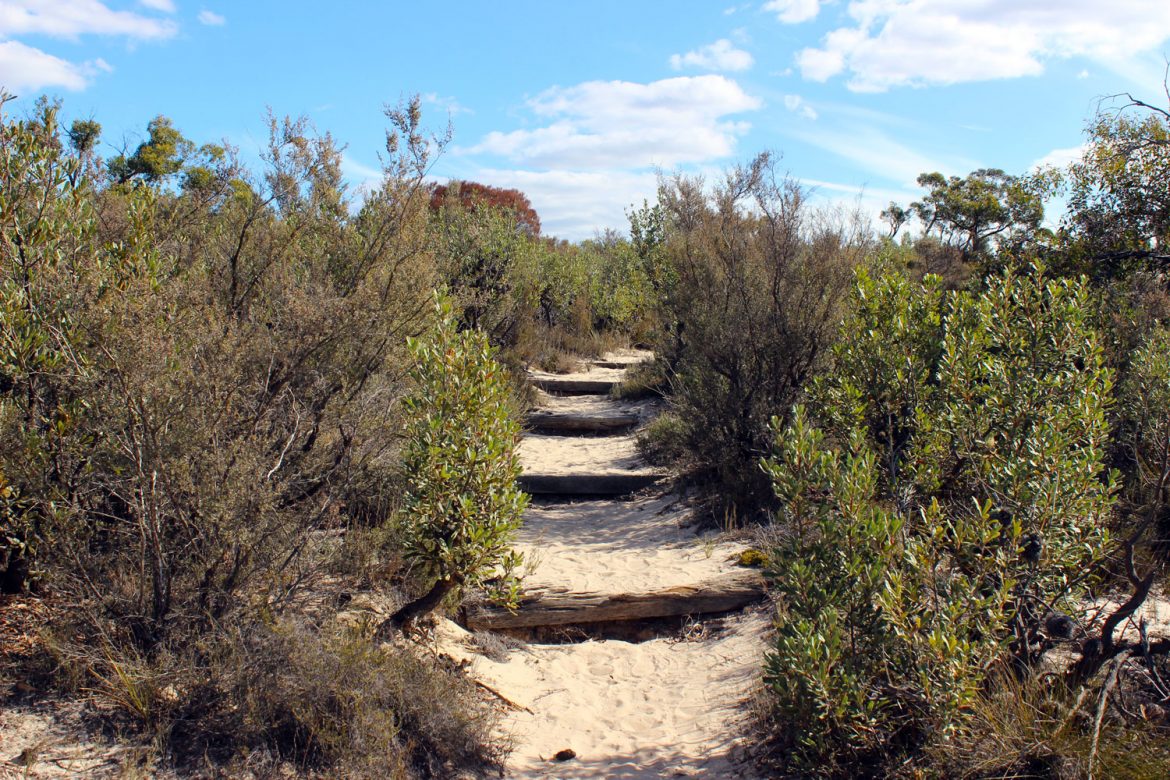 Pomponderoo Hill Walk