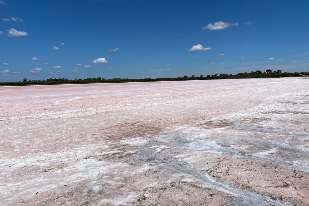 pink-lake
