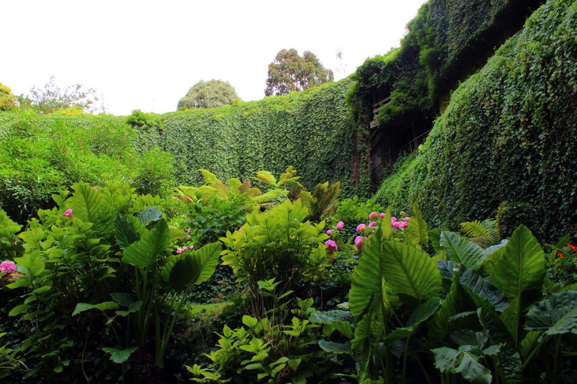 umpherston-sinkhole Mt Gambier