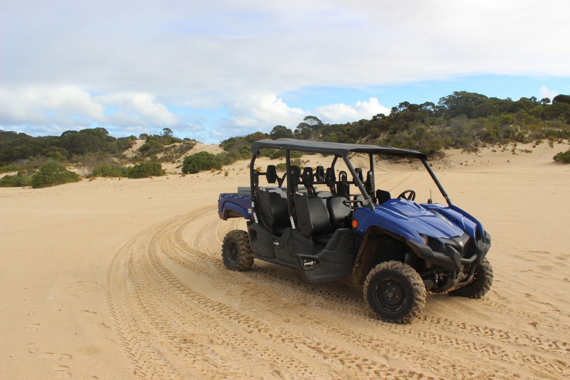 Kangaroo Island Dune tour