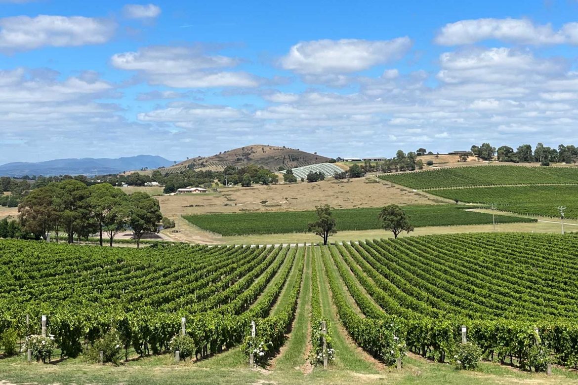 De-Bortoli Yarra Valley