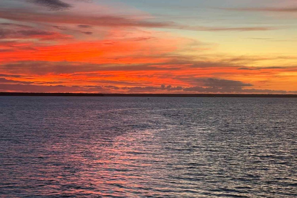 Darwin-Sunset orange