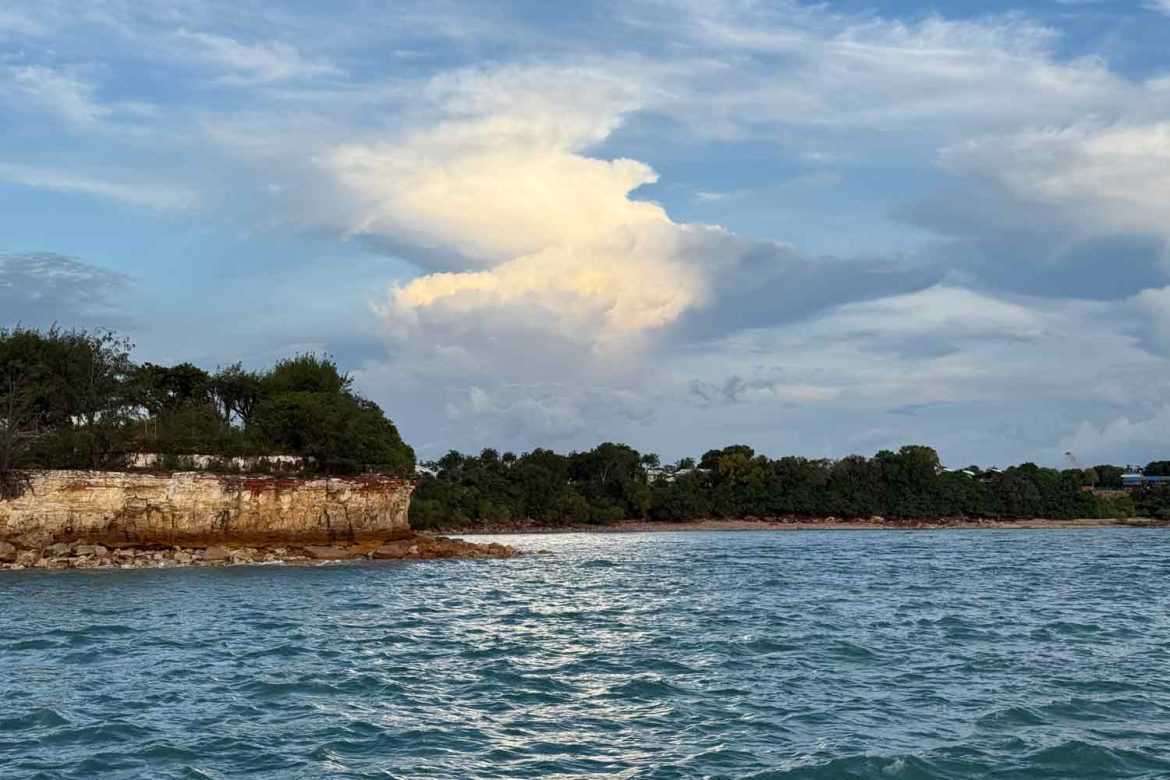 Darwin-coastline