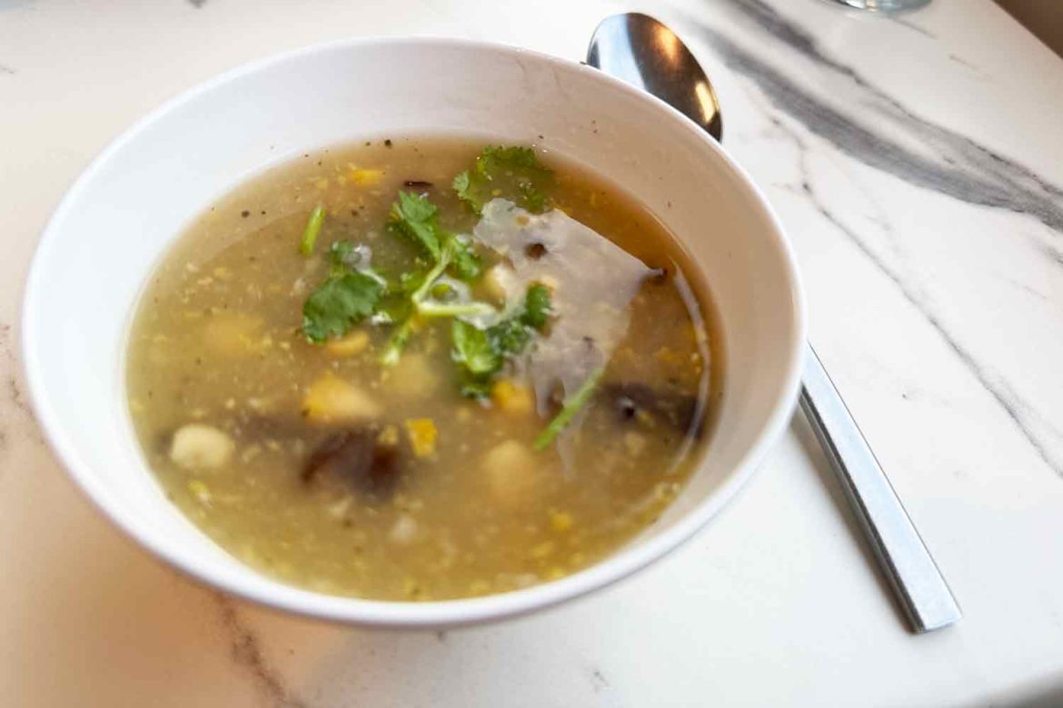 Darwin-croc-soup