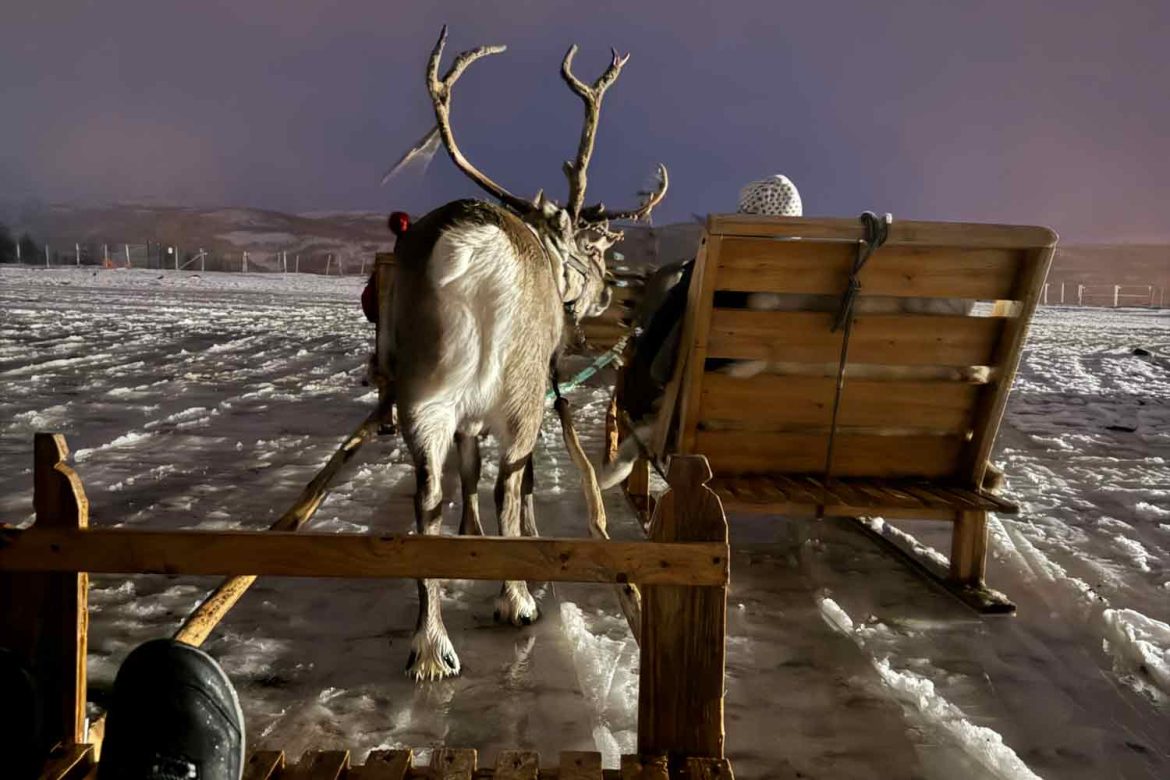 Reindeer-sleigh