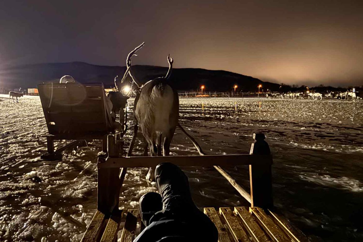 Reindeer-sleigh-view