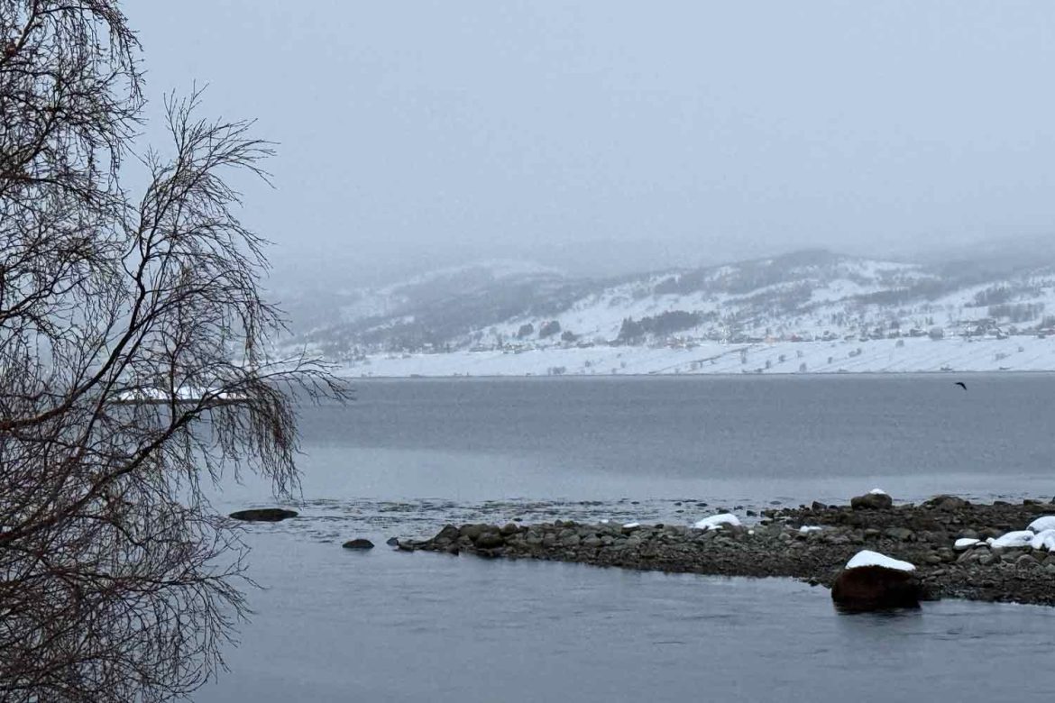 Vesteralen-coast