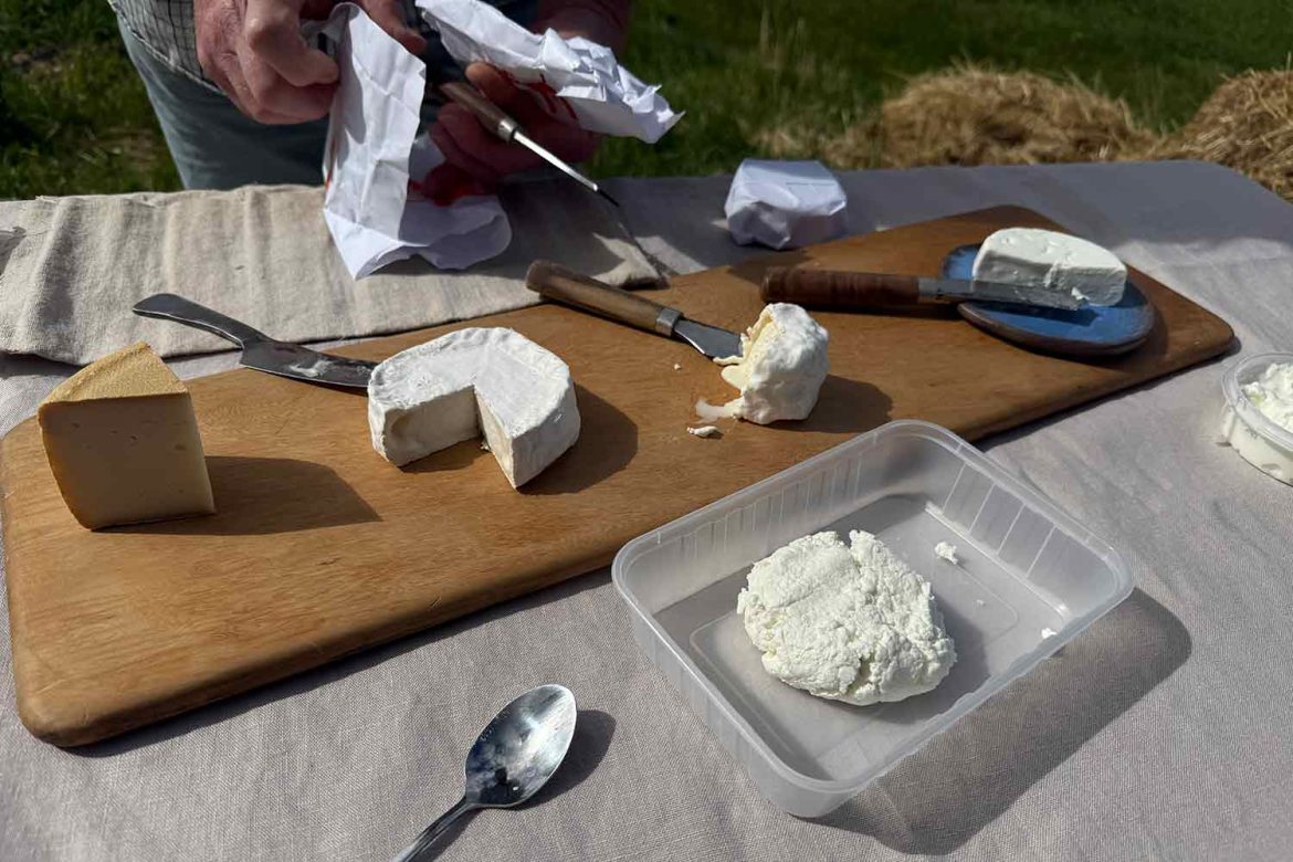 farm-cheese