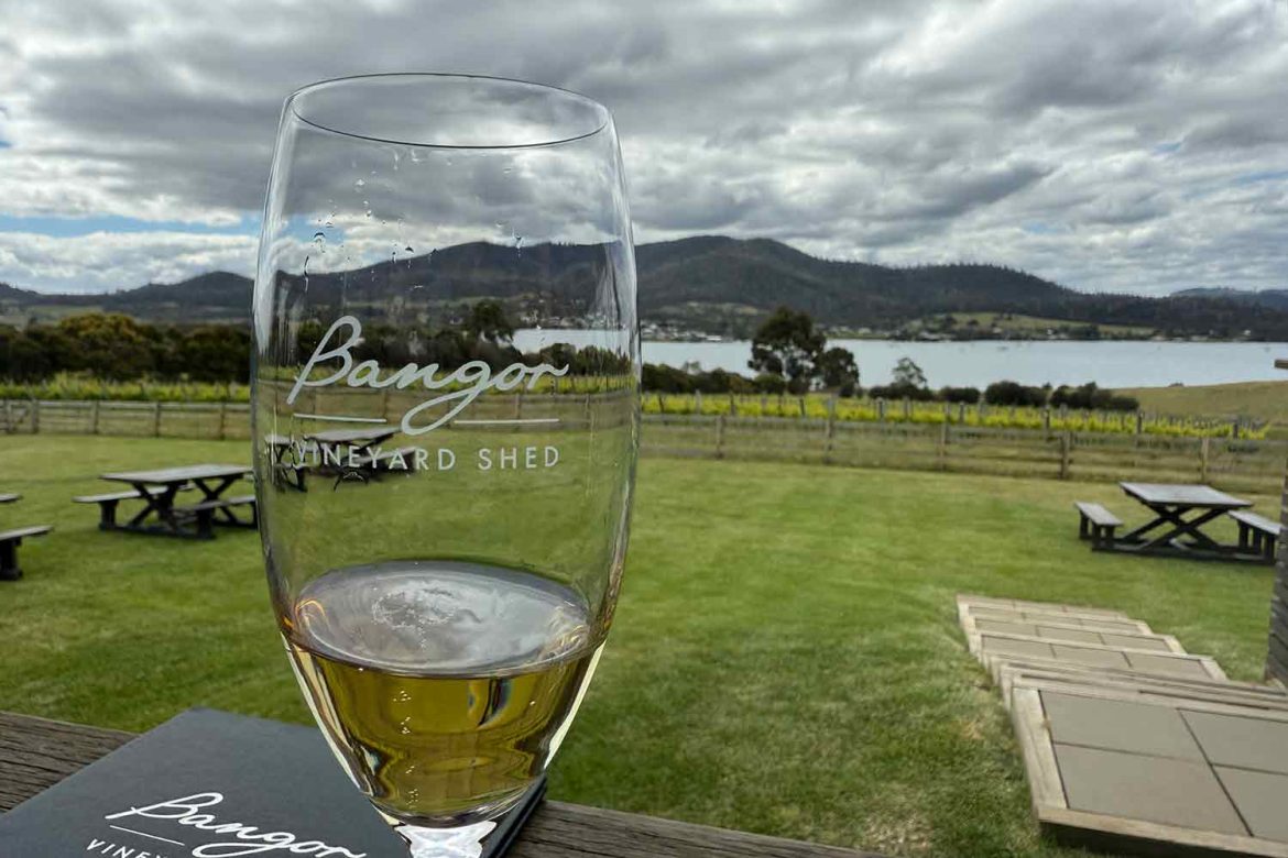 Bangor-Vineyard